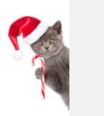 Cat with Christmas candy cane in red santa hat peeking from behind empty board and looking at camera. isolated on white background Royalty Free Stock Photo