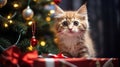 Cat in a Christmas scenery. Ai generative