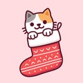 Cat in Christmas sock Royalty Free Stock Photo