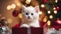 cat and christmas tree An adorable kitten with a snowy white coat, playing peek a boo from inside a festive Christmas gift Royalty Free Stock Photo