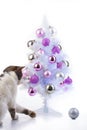 Cat with christmas tree. Domestic cat wants to play with christmas tree bauble Cat playing with christmas tree xmas Royalty Free Stock Photo