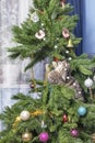 Cat on Christmas tree. Naughty cute kitten.