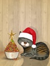 Cat christmas tree with tidbits Royalty Free Stock Photo