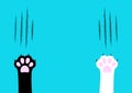 Cat claw scratching set. Black and white paw print leg foot. Bloody claws animal red scratch scrape track. Cute cartoon character