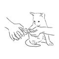 cat claw trimming, vector sketch illustration. pet grooming
