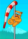 Cat climbed windsock