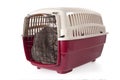 Cat closed inside pet carrier Royalty Free Stock Photo