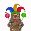 Cat clown with colored lollipops Royalty Free Stock Photo