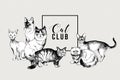 Cat club banner Royalty Free Stock Photo