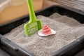 Cat Clumping Litter Box with Scoop and Odor Control Royalty Free Stock Photo
