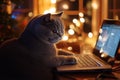 Cat Coding: Focused Feline Working on a Laptop with Bokeh Lights Royalty Free Stock Photo