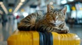 A cat comfortably rests atop a yellow suitcase in an aeroport, showcasing the concept of traveling with a pet, banner