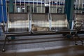 Cat on commuter train station Royalty Free Stock Photo