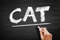 CAT - Computer Assisted Translation is the use of software to assist a human translator in the translation process, acronym