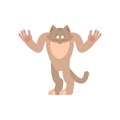 Cat confused oops. Pet perplexed emotions. kitty surprise. Vector illustration