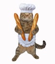 Cat cook with french breadi