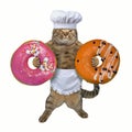 Cat cook holds two donuts