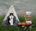 Cat cooks for his lover at a picnic Royalty Free Stock Photo