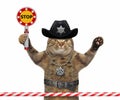 Cat cop holds stop sign