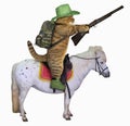 Cat cowboy with a rifle