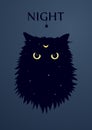 Cat with the crescent moon symbol on forehead. Angry cat silhouette with yellow eyes on the space background with stars.