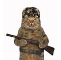 Cat criminal with rifle Royalty Free Stock Photo