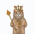 Cat in crown holds gold scepter 2