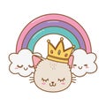 Cat with crown and rainbow Royalty Free Stock Photo