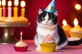 Cat with a cupcake and a candle