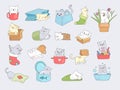 Cat in cups. Relaxing cute little kitty hide in cup or slippers vector funny illustrations