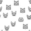 cat cute pet animal kitten funny vector seamless pattern Royalty Free Stock Photo