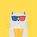 Cat in 3d glasses with box, bowl of popcorn isolated on background. Cute animal character. Movies, cinema theater, film concept.