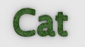 Cat - 3d word green on white background. render of furry letters. cat pets fur. Pet shop, pet house, pet care emblem logo design Royalty Free Stock Photo