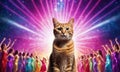 Cat dancing disco on the dance floor Royalty Free Stock Photo