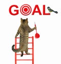 Cat with dart climbs ladder