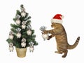 Cat decorates tree with piggy banks Royalty Free Stock Photo