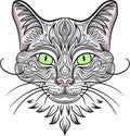 Cat with decorative pattern ellement. Vector clipart