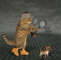 Cat detective at airfield