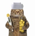 Cat doctor with thermometer Royalty Free Stock Photo