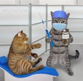 Cat doctor vaccinates patient 2 Royalty Free Stock Photo