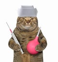 Cat doctor with syringe and clyster Royalty Free Stock Photo