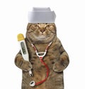 Cat doctor with medical supplies Royalty Free Stock Photo