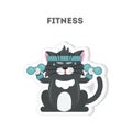 Cat does fitness.