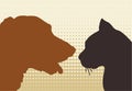 Cat & dog Royalty Free Stock Photo