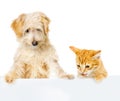 Cat and Dog above white banner. looking down. Royalty Free Stock Photo