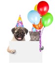 Cat and dog in birthday hats holding balloons peeking from behind empty board. isolated on white background Royalty Free Stock Photo