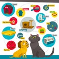 Cat and dog care items, pet shop infographics, cartoon vector illustration