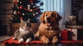 A cat and a dog celebrate Christmas together, friendship and