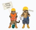 Cat with dog celebrate labor day
