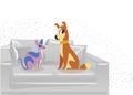 Cat and Dog characters best happy friends. Dog and cat sphinx sitting on the couch. Vector flat cartoon illustration on w Royalty Free Stock Photo